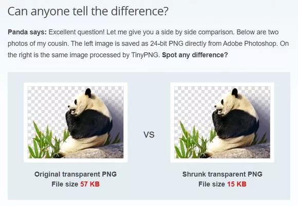투명 배경 이미지 사진 용량 줄이기 전과 후 차이점
